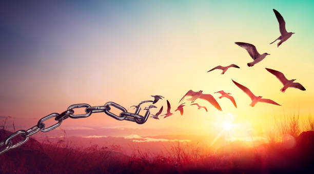 هل الحرية إنجاز اجتماعي؟