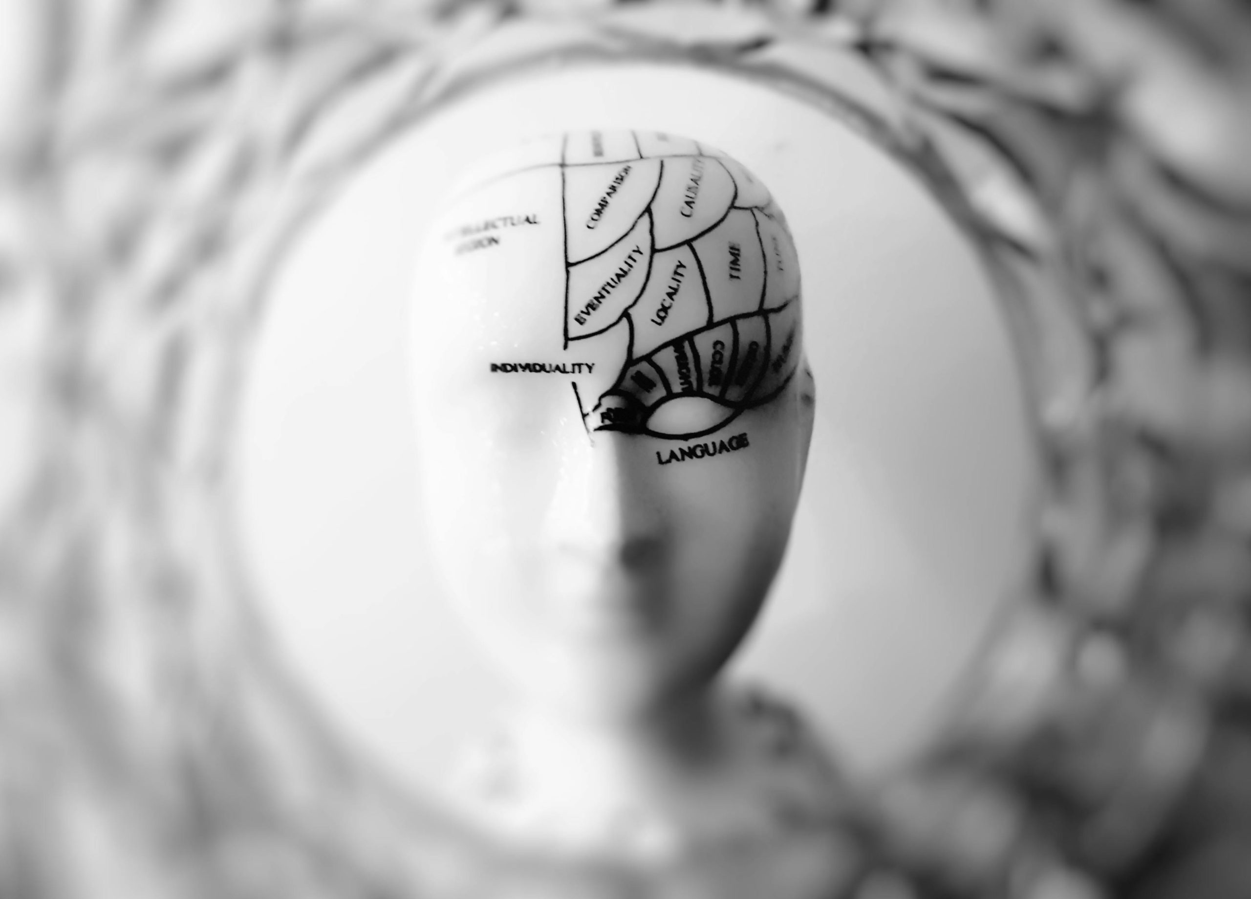 دماغ الإنسان يحتوي على مجموعة مذهلة من خلايا الغموض