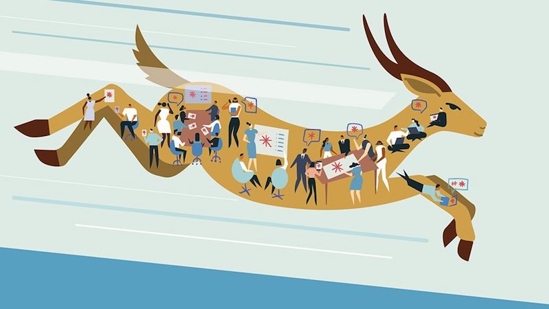الرحلة لبناء منظمة مرنة Agile