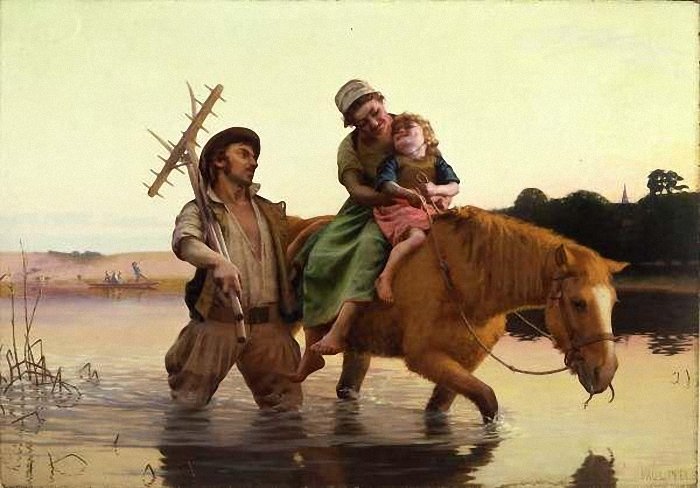 العيش للحياة: محاولة لفهم النمور