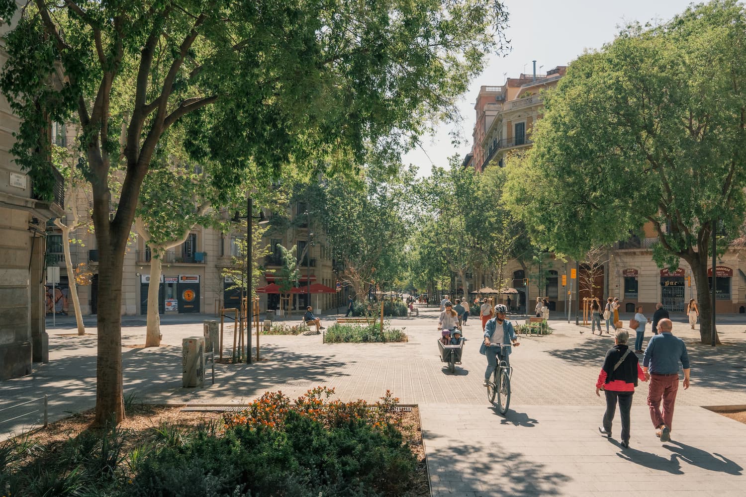 كيف يمكن إزالة الكربون من أنظمة التنقل؟ محادثة مع خبراء منظمة التعاون الاقتصادي والتنمية (OECD)