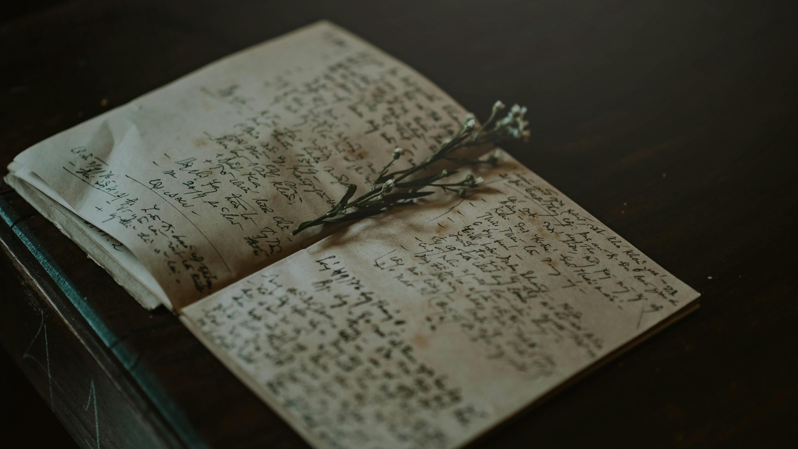 الرحلة التحويلية لكتابة المذكرات