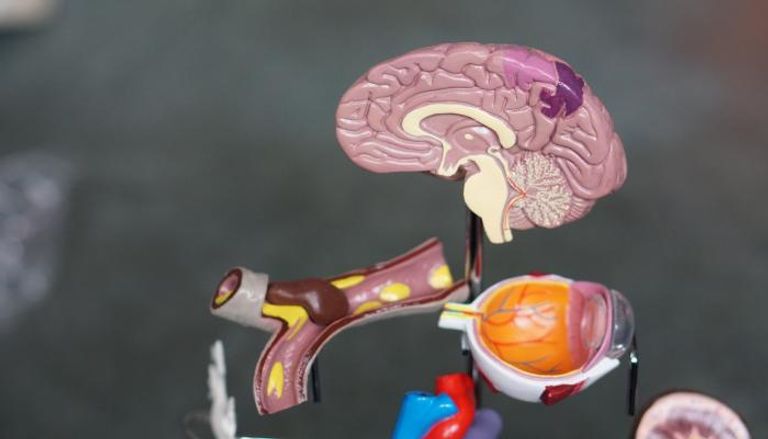 مراجعة كتاب العقل غير القابل للاختزال