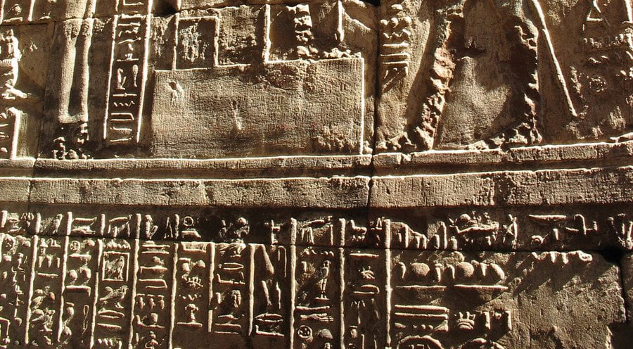 أصل اللغة: أعظم ألغاز التطور