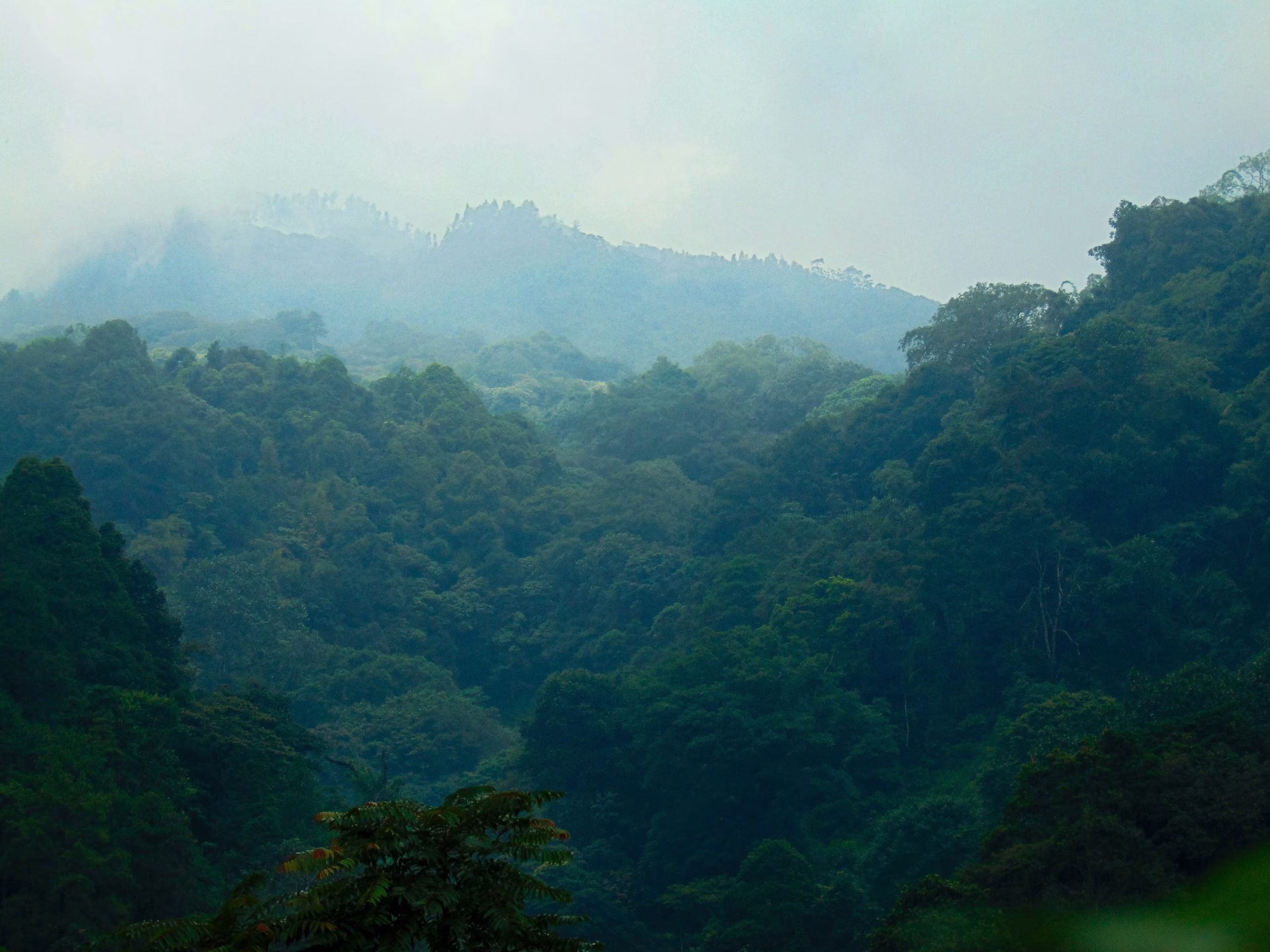 لماذا يجب على قمة المناخ COP30 مواجهة فجوة الواقع المناخي المتسعة