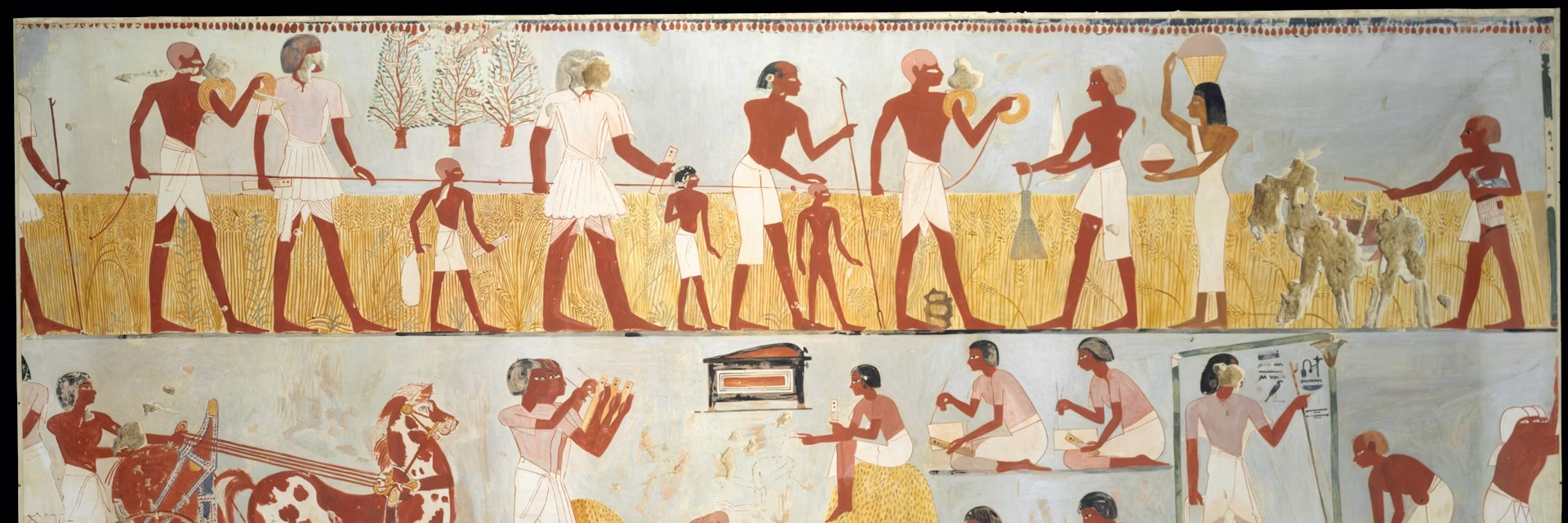 السبب الحقيقي لظهور الدول قبل آلاف السنين وأبحاث جديدة حوله