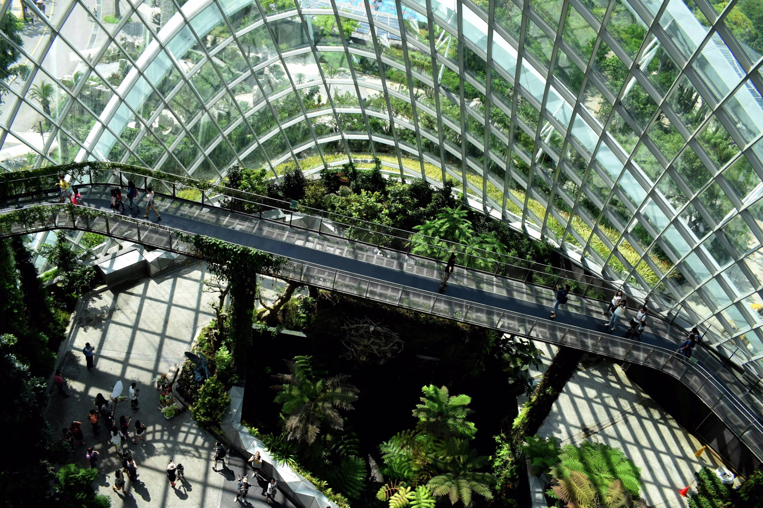 ما الذي يحتاج كل مدير استدامة إلى معرفته لإطلاق النمو عبر الاستدامة؟