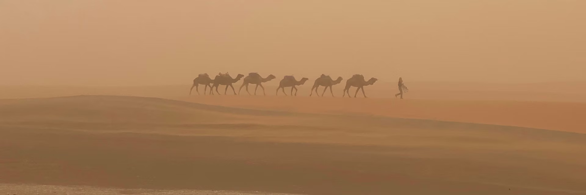 تغيّر المناخ يعيد تشكيل غبار الصحراء الكبرى… وأوروبا في مهبّ الرياح
